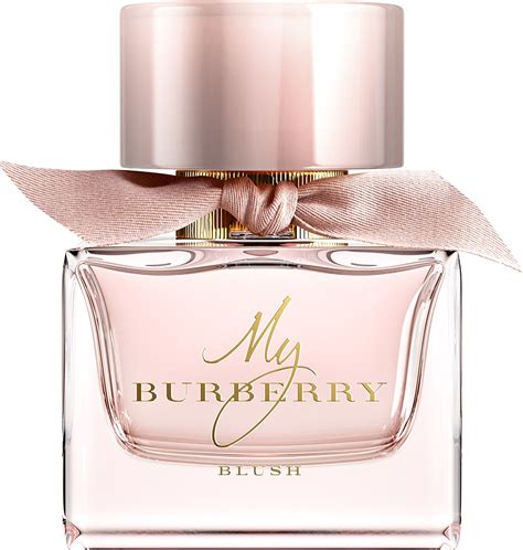 mr burberry blush|burberry my burberry blush review.